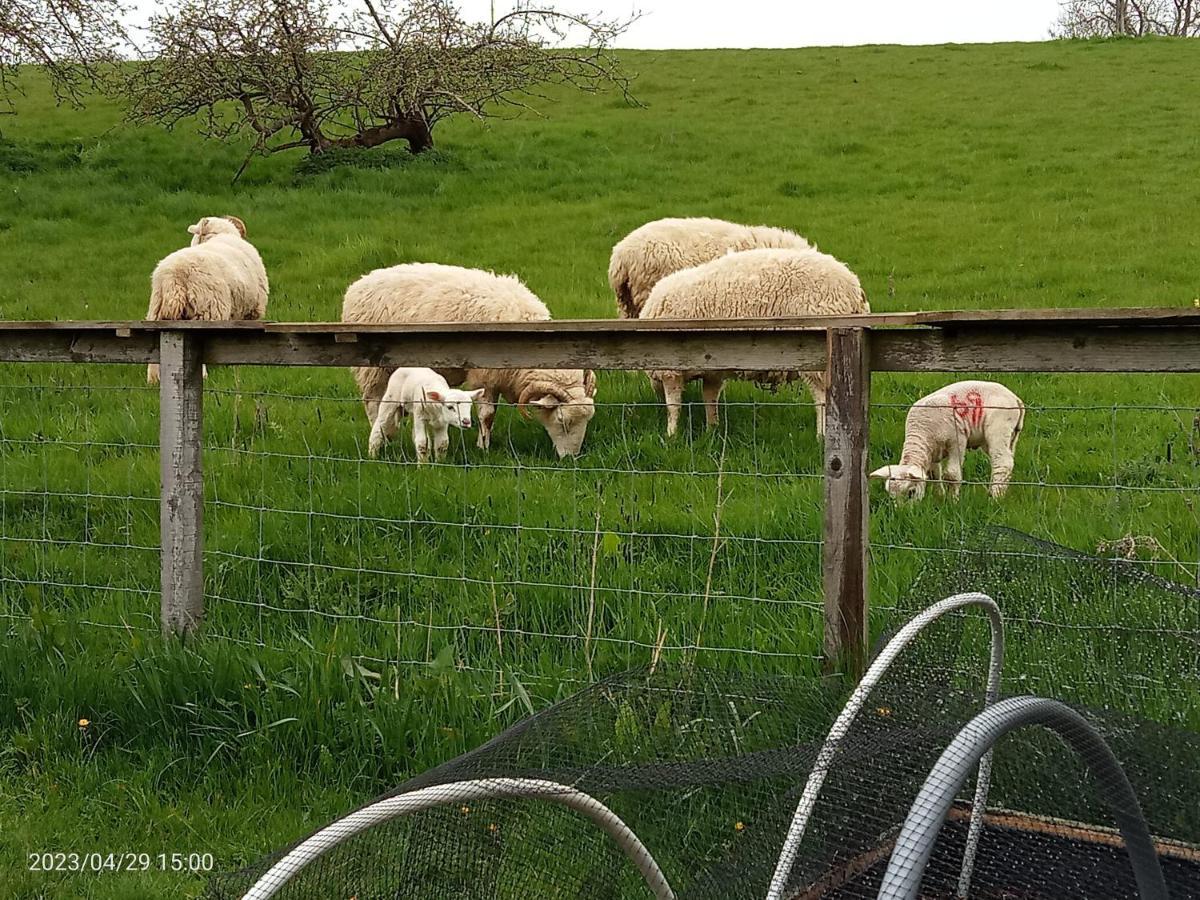 Rosegarth Bed And Breakfast Marton near Pickering Buitenkant foto