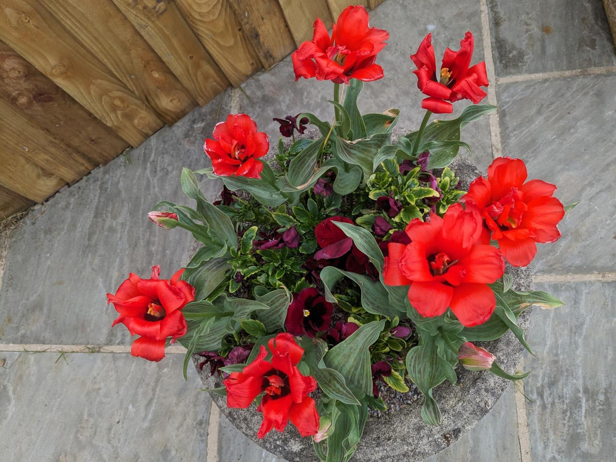 Rosegarth Bed And Breakfast Marton near Pickering Buitenkant foto